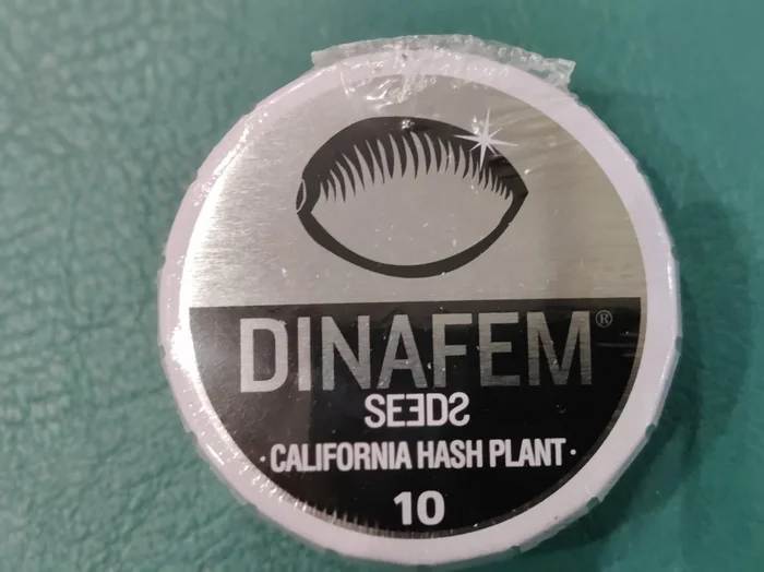 California Hash plant x10 – Dinafem