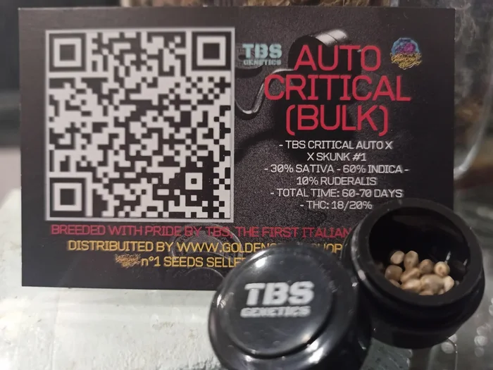 Critical Auto 5+1 – TBS Genetics