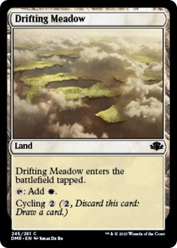 Drifting Meadow (245) (DMR)