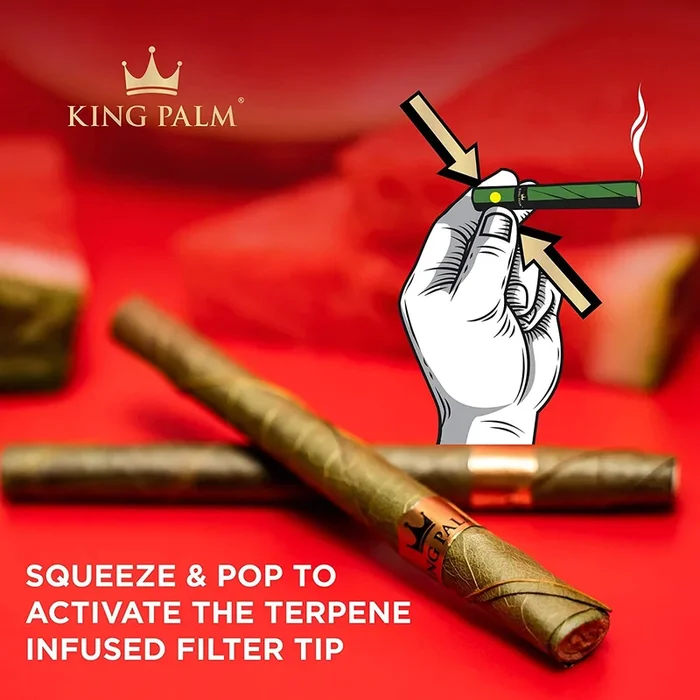 KING PALM- MINI 1G EACH 2PK