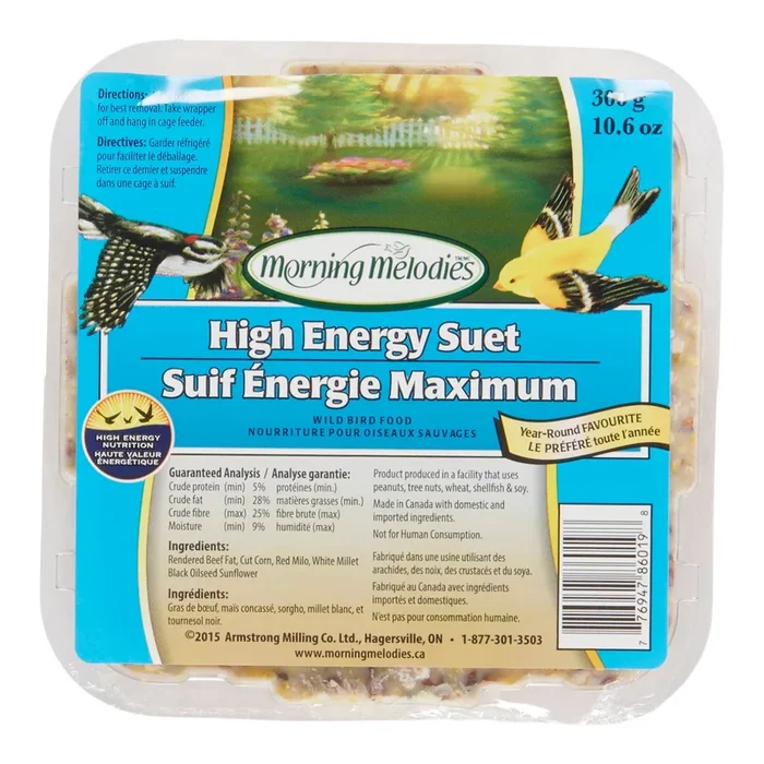 Morning Melodies High Energy Suet Wild Bird Food, 300-g