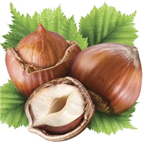 Nocciola 10ml (Scent) (Atmos Lab)