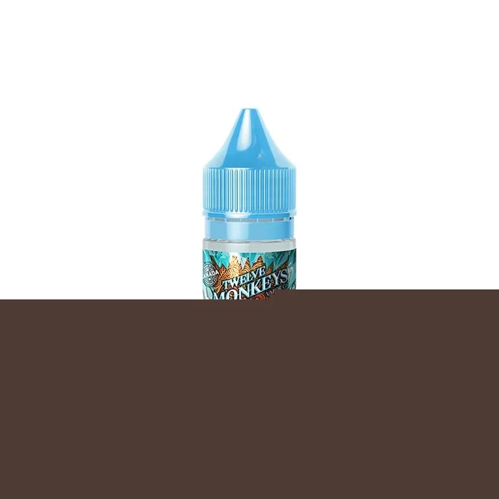 Puris Iced by Twelve Monkeys Ice Age Salt Juice (AB)