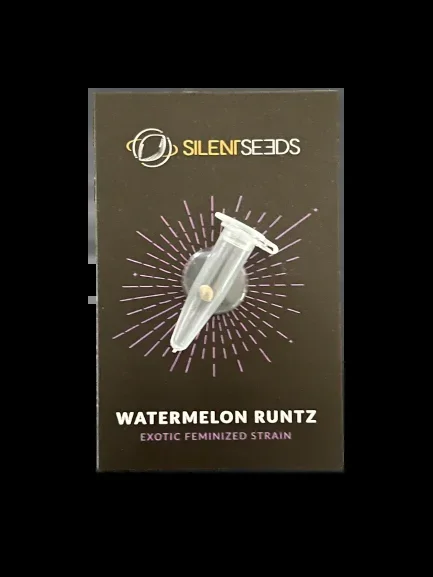 Watermelon Runtz x1 – Silent (Ex Dinafem)