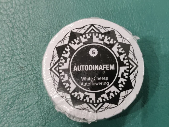 White Cheese Auto x5 – Dinafem
